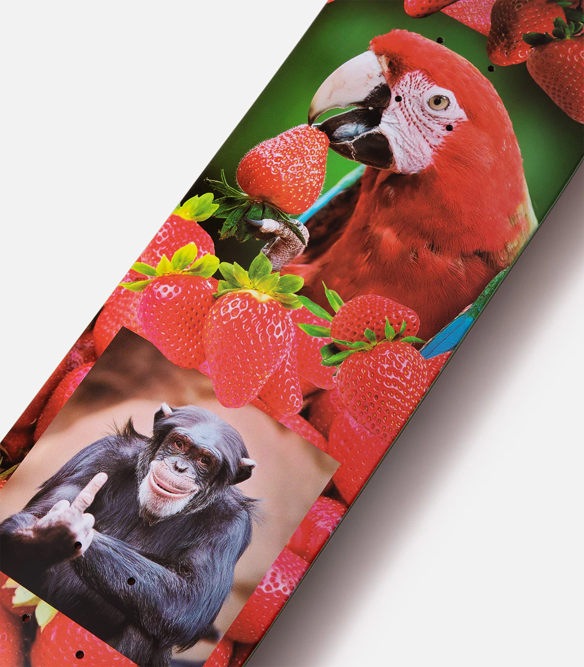 Palace Charlie Birch S38 Pro Deck - Image 2