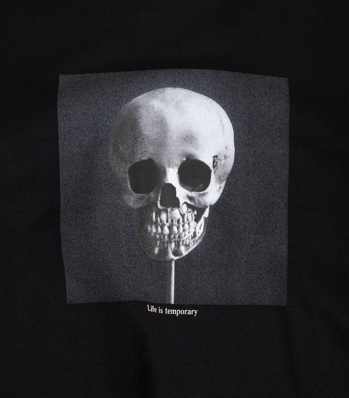 Polar Morphology T-Shirt - Image 2